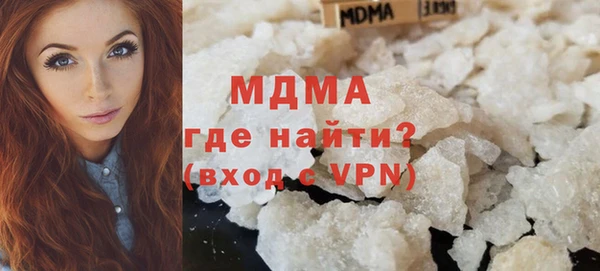 шишки Надым