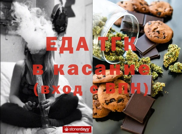 шишки Надым