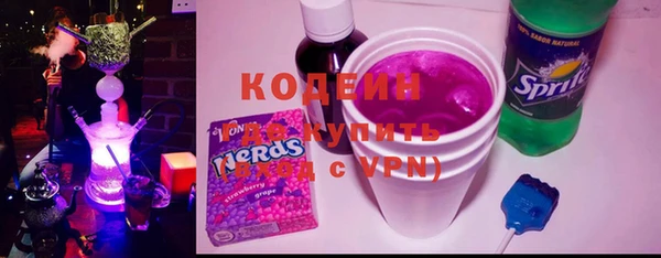 шишки Надым