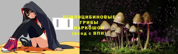 шишки Надым