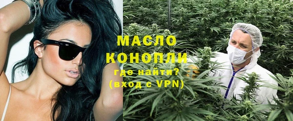 шишки Надым