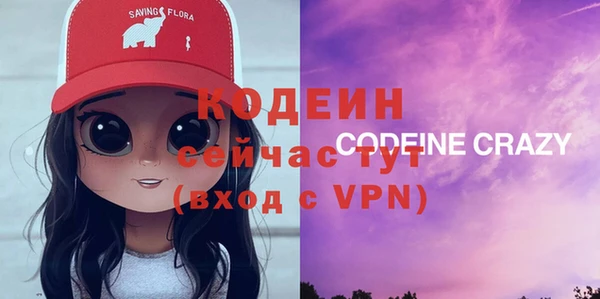 шишки Надым