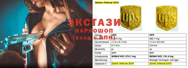 шишки Надым
