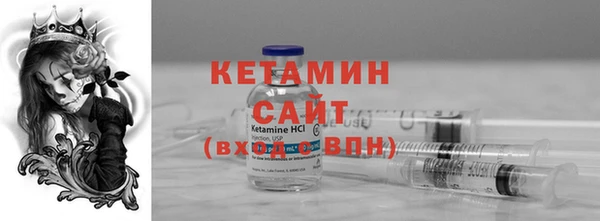 шишки Надым