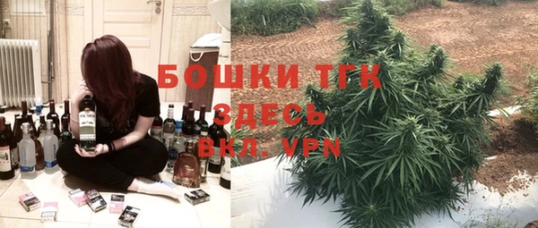 шишки Надым