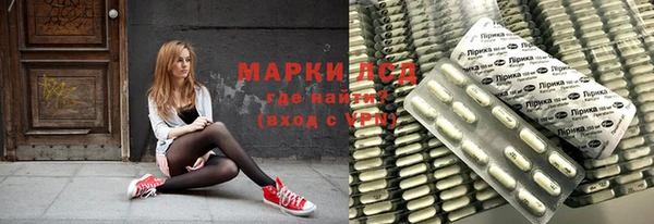 шишки Надым