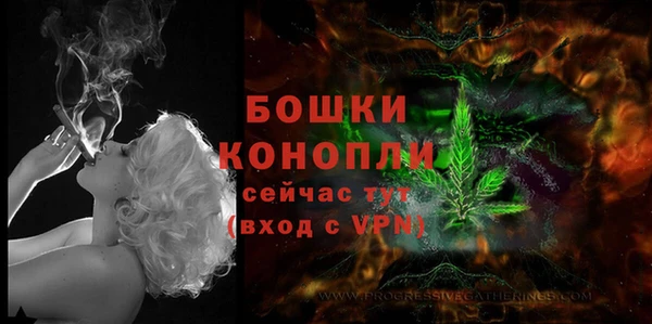 альфа пвп Ахтубинск