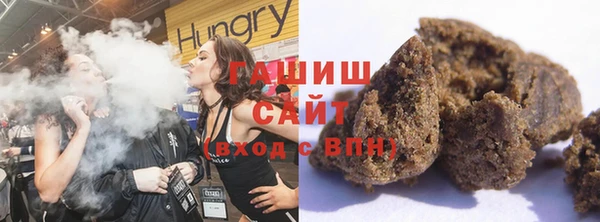 шишки Надым