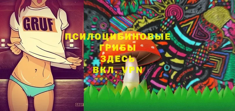 Псилоцибиновые грибы Magic Shrooms  Аргун 