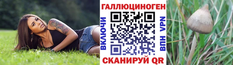 Галлюциногенные грибы MAGIC MUSHROOMS  даркнет сайт  Аргун 