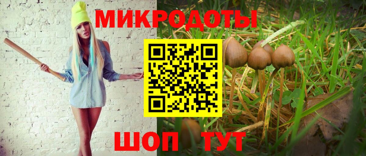 Аргун  Галлюциногенные грибы мицелий  что такое   Вход с VPN 