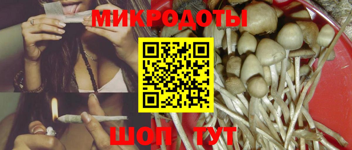 Псилоцибиновые грибы мухоморы Аргун